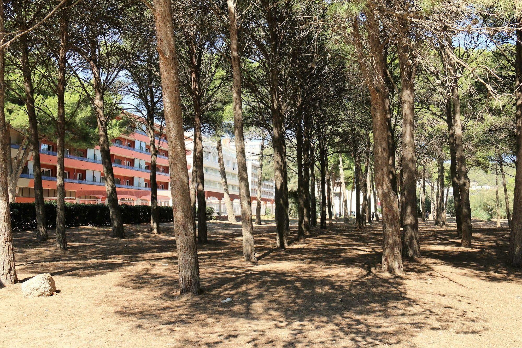 Rvapartaments La Pineda أولاستارتيت المظهر الخارجي الصورة